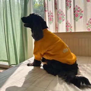 PoochMate Mustard Dog Sweatshirt with Sherpa Cloud  applique