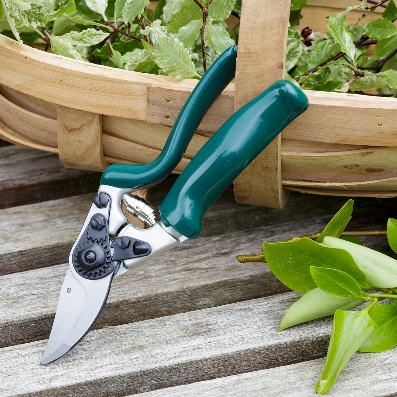 Professional Rotating Handle Secateur