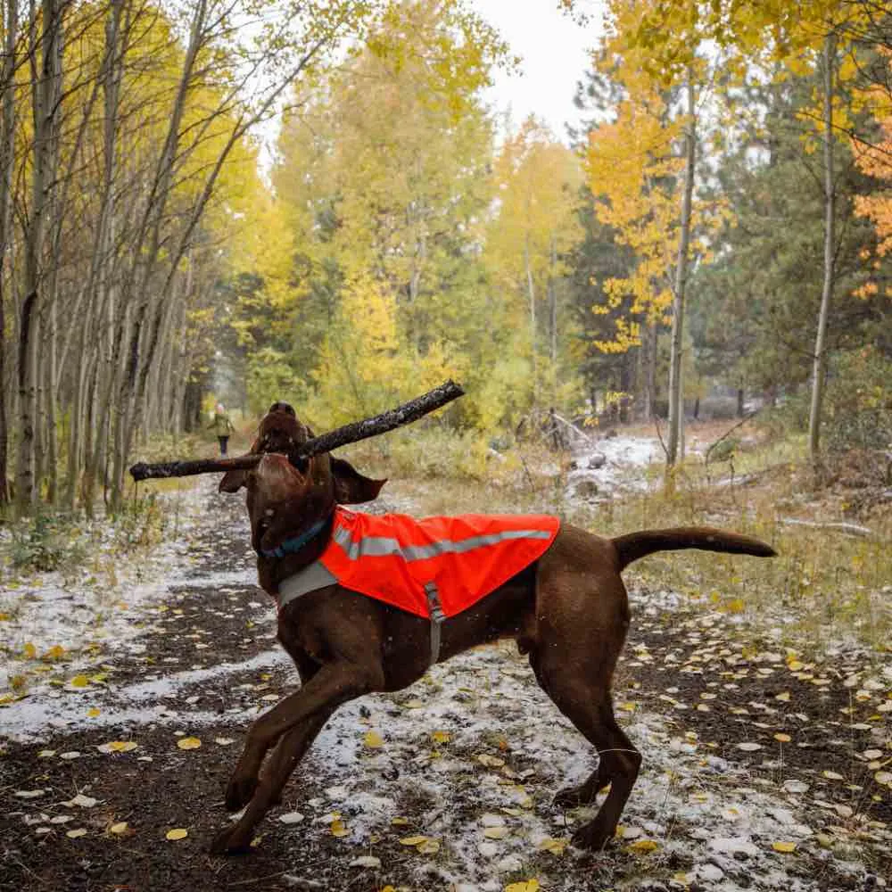 Ruffwear Track Jacket Reflective Safety Dog Vest